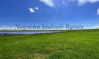 Imagem 6: Fazenda em Avaré, área com 65 alqueires, belas represas (Nogueira Imóveis Rurais