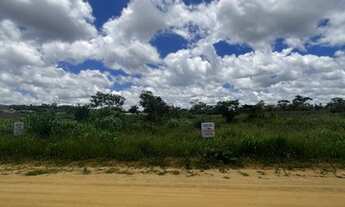 Imagem 2: Lote 12x30 bairro caminho da universidade