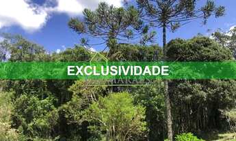 Imagem: Rancho Queimado - Terreno Padrão - Queimada