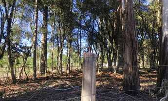 Imagem 6: Terreno em Canela!