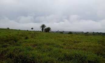Imagem 3: FAZENDA DUPLA APTIDÃO VILA BELA