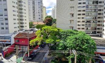 Imagem 7: SãO PAULO - Padrão - Paraíso