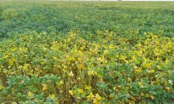 Imagem 2: Sitio em Colorado 2,9 hectares