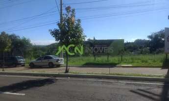 Imagem: Estância Velha - Terreno Padrão - Floresta