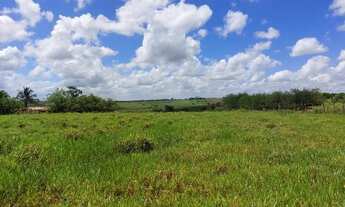 Imagem 7: Fazenda 70 tarefas - Siriri