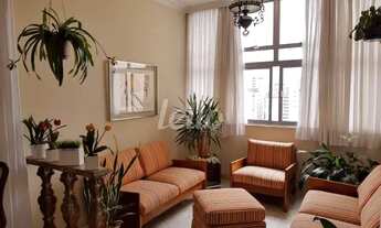 Imagem: São Paulo - Apartamento Padrão - Bela