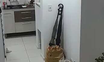 Imagem 3: Vendo ou troco apartamento já financiado