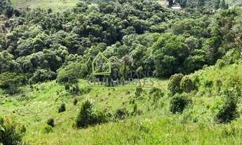 Imagem 2: ÁGUAS MORNAS - Terreno Padrão - BR 282