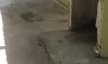 Imagem 6: Casa 2/4 ótima localização