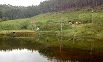 Imagem 4: Sitio munis freire 5 alqueirers