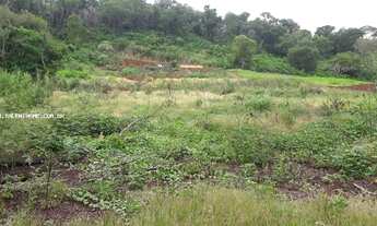 Imagem 3: Área Rural para Venda em Londrina, Paraíso