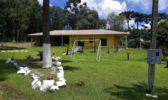 Imagem 2: Área Rural para Venda em Mandirituba, Zona Rural, 4 dormitórios, 2 suítes, 4 banheiros, 4