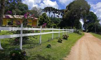 Imagem 5: Área Rural para Venda em Mandirituba, Zona Rural, 4 dormitórios, 2 suítes, 4 banheiros, 4