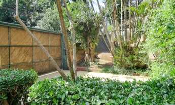 Imagem 6: Casa dos anos 50, para reforma , em uma das melhores ruas do Jardim Paulista