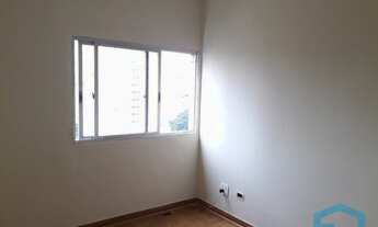 Imagem 6: SãO PAULO - Padrão - Perdizes