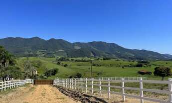 Imagem 4: 2 HECTARES MARAVILHOSO LOCAL !!