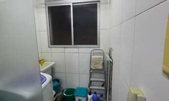 Imagem 6: Jardim das Margaridas com 2