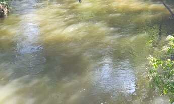 Imagem 3: Linda Chácara em Planaltina-DF