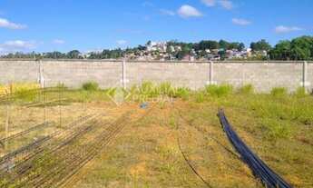 Imagem 7: PORTO ALEGRE - Terreno Padrão - Lomba do Pinheiro