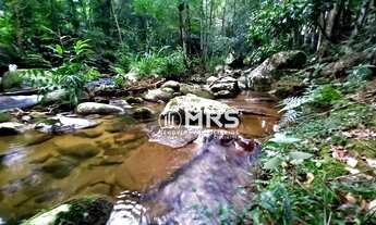 Imagem 6: Chácara com 2 dormitórios à venda, 2625 m² em Canelinha/SC