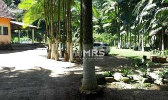 Imagem 6: Chácara com 3 dormitórios à venda, 11000 m² - Galera - Canelinha/SC