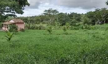 Imagem 4: Sitio em socorro