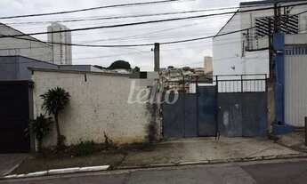 Imagem: São Paulo - Terreno Padrão - Mooca