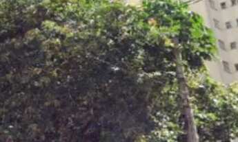 Imagem 3: Studio em Campos Elíseos - São Paulo