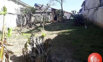 Imagem: São Paulo - Terreno Padrão - Tremembé