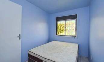 Imagem 3: Apartamento 2 quartos para aluguel Pelotas