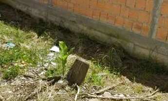 Imagem 2: Alugo Aririu três quartos