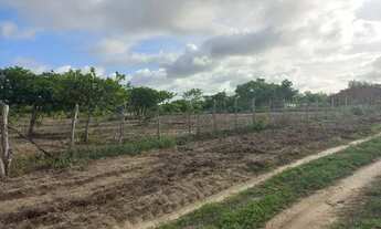 Imagem 2: Vendo terreno excelente para fazer uma chácara. 40m X 100m