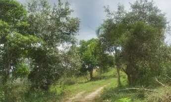 Imagem 7: Lote/Terreno para venda possui 1000 metros quadrados em Centro - Santa Isabel - SP