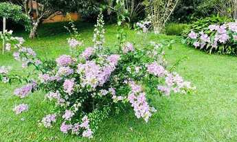 Imagem 3: Chácara com 5 dormitórios à venda, 3320 m² por R$ 575.000,00 - Florial Parque - São Louren