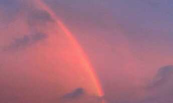 Imagem 2: Apartamento para aluguel tem 60 metros quadrados com 2 quartos em Vila Hamburguesa - São P