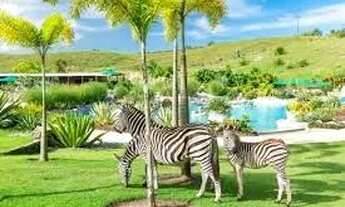 Imagem 7: Apartamento/Studio no Reserva dos Lagos by Nobile/Reserva Boa Luz