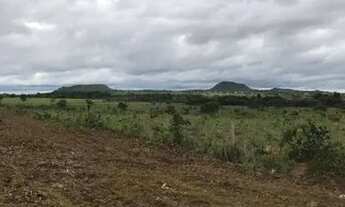 Imagem 6: FAZENDA DUPLA APTIDÃO