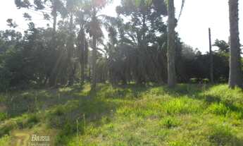 Imagem 4: Rural chacara com 1 quarto - Bairro Miringuava em São José dos Pinhais