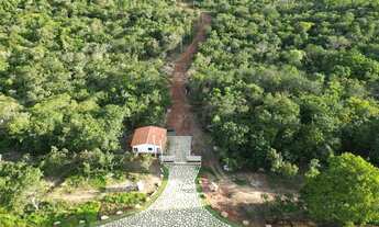 Imagem: Chácara 20mil metros Pirenopolis