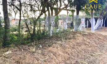 Imagem 4: Baita terreno 2453m², com lindo mato nativo e luz na frente