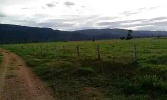 Imagem 4: FAZENDA DUPLA APTIDÃO VILA BELA