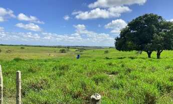 Imagem 4: Fazenda 70 tarefas - Siriri