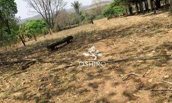 Imagem 6: FAZENDA PARA VENDA EM POXORÉO - MT (CÓD. 256