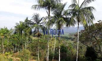 Imagem 3: Chacara a venda em Miracatu