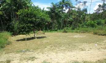 Imagem 2: Terreno próximo de escolas e principal