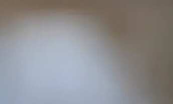 Imagem 3: Vendo casa no bairro canelas