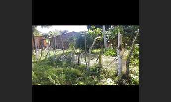 Imagem 6: Venda e troca terreno no povoado Pai Andre