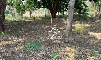 Imagem 3: FAZENDA PARA VENDA EM POXORÉO - MT (CÓD. 256