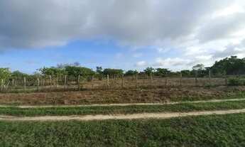 Imagem: Vendo terreno excelente para fazer uma chácara