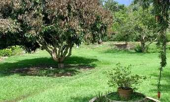 Imagem 3: Linda Chácara à venda